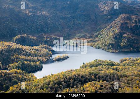 Birch woodland and Loch Katrine in autumn, view from  Ben A'an, Loch Lomand and Trossachs National Park, Scotland Stock Photo