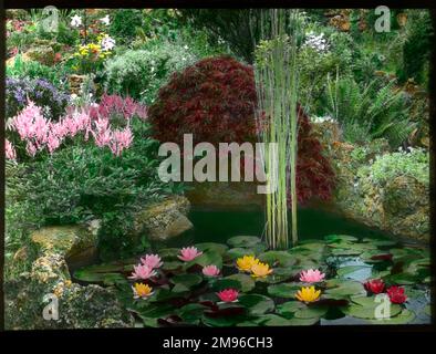 Vashon, WA Cedar walkway encircles a quiet pond with pond lilies and  grasses in summer garden Stock Photo - Alamy
