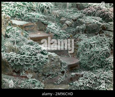 An unidentified garden with plants growing on a rockery Stock Photo - Alamy