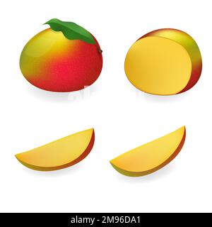 Row mangoes set, whole, half and sliced fruit. Stock Vector