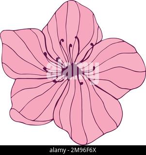 Hand drawn pink flower on white background. Botanical element. Vector illustration Stock Vector