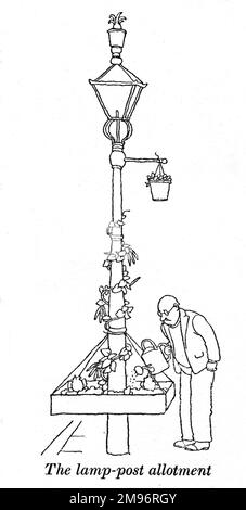 Heath Robinson - Wartime Cartoons - WWII.  The lamp post allotment. Stock Photo