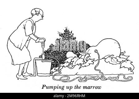 Heath Robinson - Wartime Cartoons - WWII.  Pumping up the marrow. Stock Photo