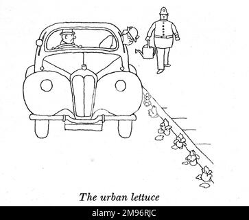 Heath Robinson - Wartime Cartoons - WWII.  The urban lettuce. Stock Photo