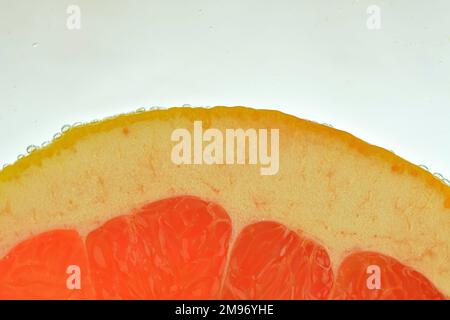 Close-up of red juicy grapefruit on white background. Grapefruit  slice isolated on white background. Macro horizontal image. Stock Photo