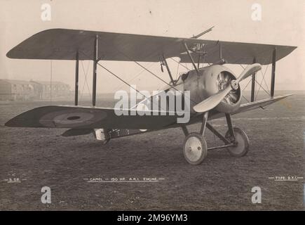 Sopwith 2F1 Camel, N6635, at Brooklands. Stock Photo