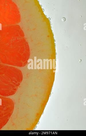 Close-up of juicy grapefruit slice on white background. Slice of red grapefruit in sparkling water on white background, close-up. Vertical macro image Stock Photo