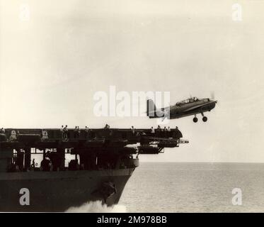 A Grumman TBF Avenger takes off from USS Yorktown. Stock Photo