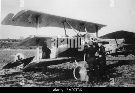 Fokker Dr I German fighter triplane with a Pfalz D III in the background. The Fokker's pilot prepares for takeoff, with a mechanic ready to swing the propeller and two more in attendance. Stock Photo