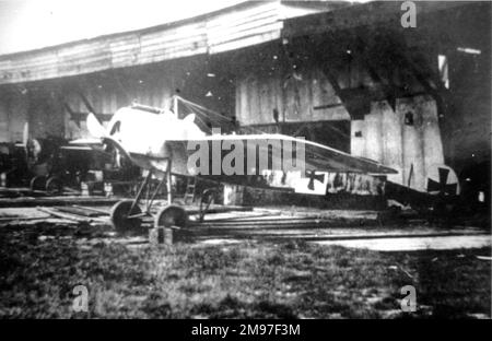 German Fokker airplane, WW1 1916 Stock Photo - Alamy