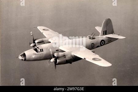 Martin B-26 Marauder I aloft-the RAF's South African contingent were the users of this type. Stock Photo