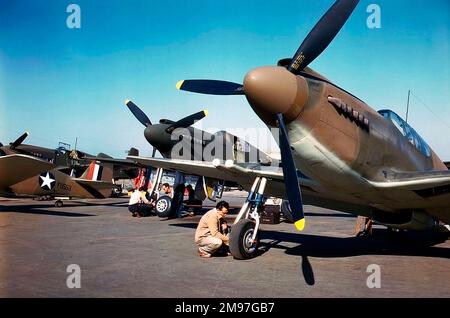 North American Aviation P-51 - NA-91 'Apache' (later called Mustang) - an American long-range, single-seat fighter and fighter-bomber used during World War II and the Korean War, photographed at NA's Inglewood, California plant, 1942. Stock Photo