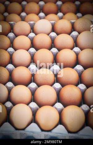 Full frame close-up of brown eggs in a cardboard egg box Stock Photo
