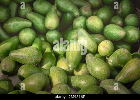 Full frame close-up of a stack of Avocados Stock Photo