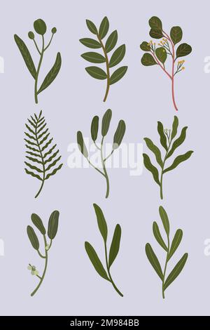 Botanical leaves on a gray background vector Stock Vector
