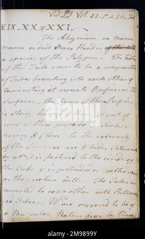 Page from the original notebook of George Cayley (1773-1857) - prolific ...