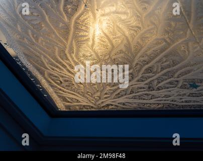 Ice patterns on a window. Stock Photo