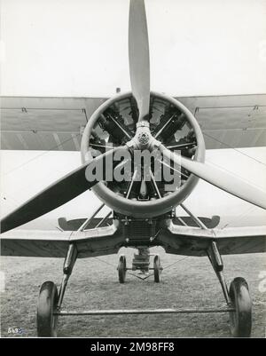 The Sole Gloster Goring, J8674, Fitted With A Bristol Perseus Radial ...