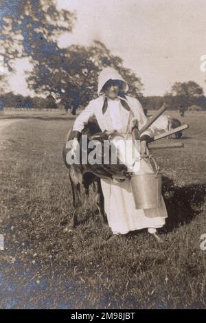 Milkmaid (D Pentreath) and Midget the Jersey cow, in the village of Madresfield, near Malvern, Worcestershire, during the First World War. Stock Photo