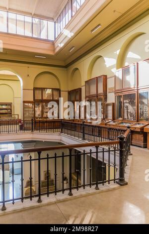 CAIRO, EGYPT - JANUARY 27, 2019: Exhibits in the Egyptian Museum in Cairo, Egypt Stock Photo