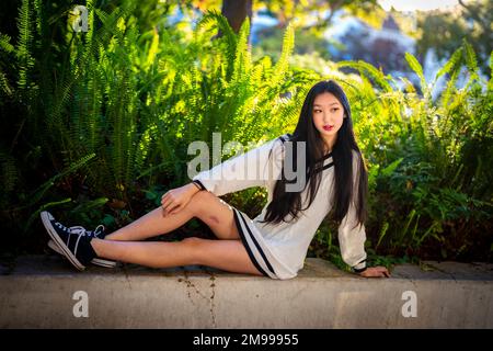 Beautiful Young Woman in Short Sweater Dress Seated on Wall with Ferns Behind Her Stock Photo