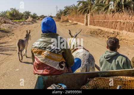 DAKHLA, EGYPT - FEBRUARY 8, 2019: Riding on a donkey cart in Dakhla oasis, Egypt Stock Photo