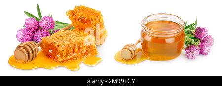 Honeycombs and honey puddle with clover or trefoil flower isolated on white background with full depth of field Stock Photo