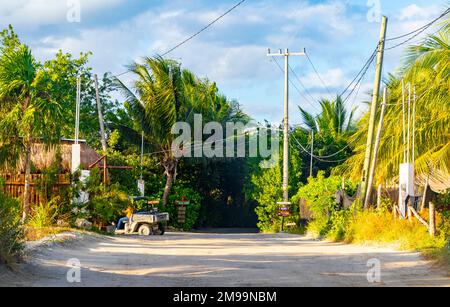 Sandy muddy road walking path and landscape view with tropical nature on beautiful Holbox island in Quintana Roo Mexico. Stock Photo