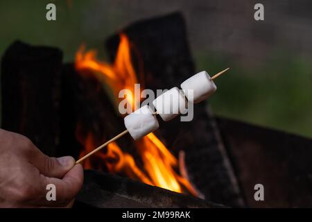 Marshmallow on a stick being roasted over a camping fire. Camping, summer concept Stock Photo