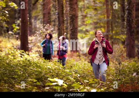 Group Of Young Female Friends On Camping Holiday Hiking Through Woods And Enjoying Nature Together Stock Photo