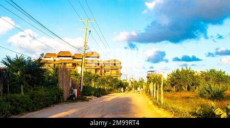 Sandy muddy road walking path and landscape view with tropical nature on beautiful Holbox island in Quintana Roo Mexico. Stock Photo