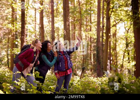 Female Friends Posing For Selfie On Mobile Phone On Holiday Hike Through Woods Together Stock Photo
