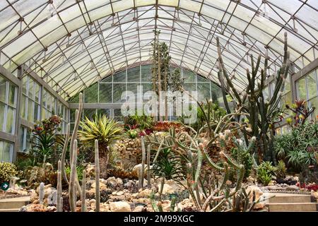 cactus house, Bali Botanic Garden, Bedugul, Bali, Indonesia, Asia Stock  Photo - Alamy