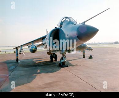 Fleet Air Arm - British Aerospace Sea Harrier FRS.1 XZ451 (base code R, call sign 005) of 801 Naval Air Squadron, embarked on HMS Ark Royal. Stock Photo