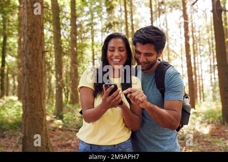 Couple Looking At Photo On Mobile Phone Hiking Or Walking Through Woodland Countryside Stock Photo