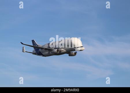 Airbus's New Beluge XL lands at Hawarden airport in North Wales Stock Photo