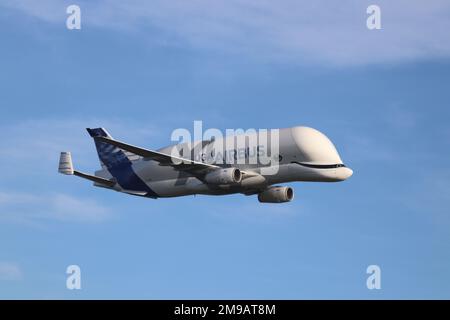 Airbus's New Beluge XL lands at Hawarden airport in North Wales Stock Photo