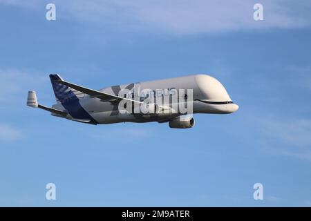 Airbus's New Beluge XL lands at Hawarden airport in North Wales Stock Photo