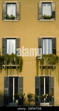 Partial of a yellow building with 6 windows decorated with plants and flowers. Stock Photo