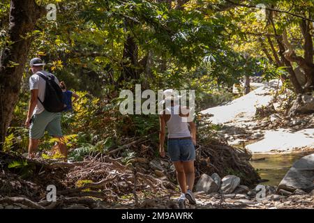 Group of young people with backpacks hiking and trekking through green forest with small river and lake, enjoying the environment and healthy nature Stock Photo