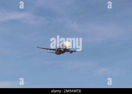 Airbus's New Beluge XL lands at Hawarden airport in North Wales Stock Photo