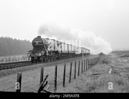 4472 'Flying Scotsman', an LNER Class A3 locomotive, on the main line, at speed, circa 1967. LNER Class A3 4472 'Flying Scotsman' is a 4-6-2 Pacific steam locomotive, built in 1923 for the London and North Eastern Railway (LNER) at Doncaster Works to a design of Nigel Gresley. It was employed on long-distance express East Coast Main Line trains by the LNER and its successors, British Railways Eastern and North-Eastern Regions, notably on the London to Edinburgh Flying Scotsman train service after which it was named. Stock Photo