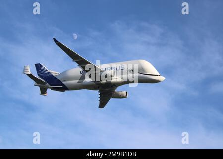 Airbus's New Beluge XL lands at Hawarden airport in North Wales Stock Photo