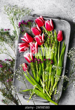 Top view of beautiful pink and white tulip, gypsophila and purple wax flowers on an old metal tray. Home floristic decoration concept. Stock Photo