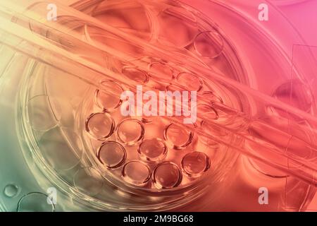 Chemical laboratory research. Abstract cosmetic laboratory. Glass model of molecules. Stock Photo