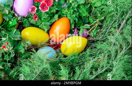 Large multicolored wooden eggs lie on a flower bed, among juniper branches, top view. Stock Photo