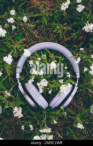 The headphone on the grass with white flowers Stock Photo