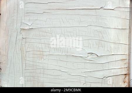 A shot of paint peeling off a wooden wall Stock Photo
