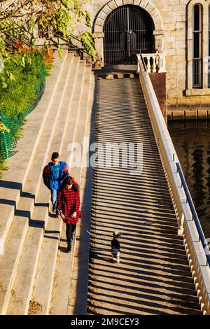 Young boy & girl with pet dog skipping happily along sunlit stone path; Fairmount Water Works; Philadelphia; Pennsylvania; USA Stock Photo