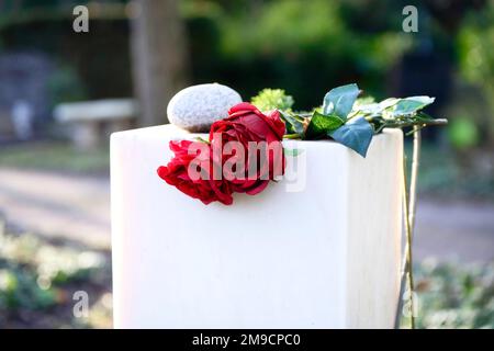 two red roses on a white tombstone Stock Photo
